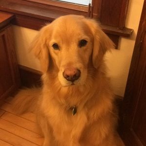 Meet your Posher, Oxona